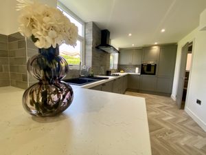 Modern Kitchen- click for photo gallery